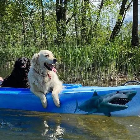 Séjour chez l'habitant Majka