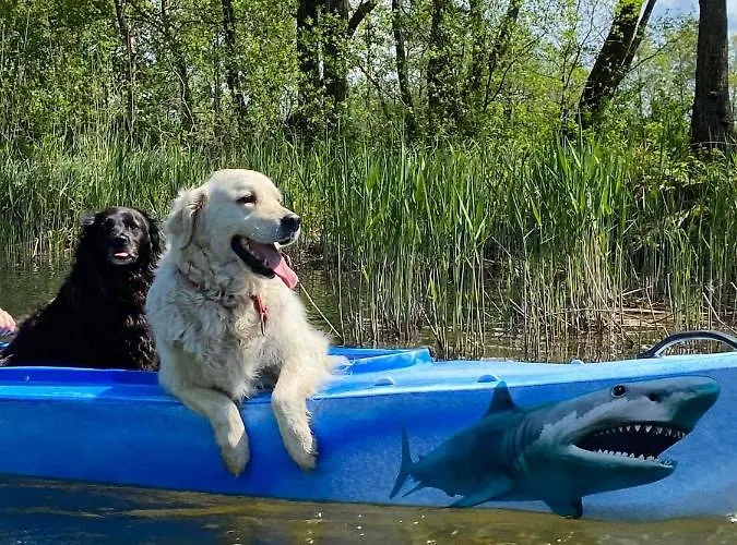 Homestay szállás Majka